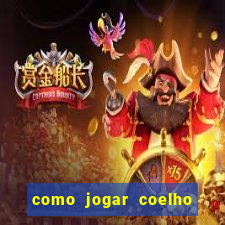 como jogar coelho da fortuna